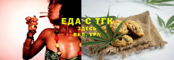 крисы Бородино