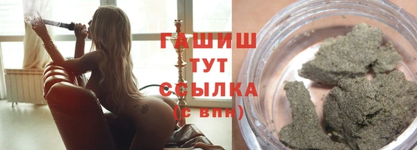 крисы Бородино