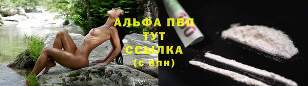 винт Белокуриха