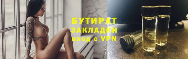 крисы Бородино