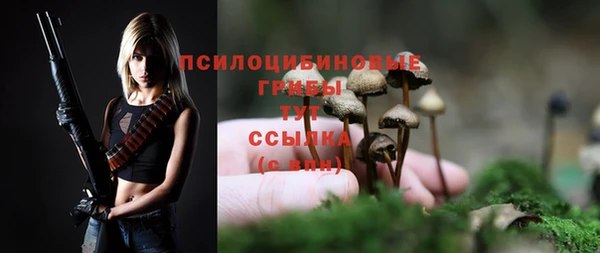 мяу мяу мука Бугульма